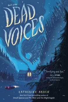 A car drives at night through a snow storm towards a scary looking house on the cover of the book Dead Voices.