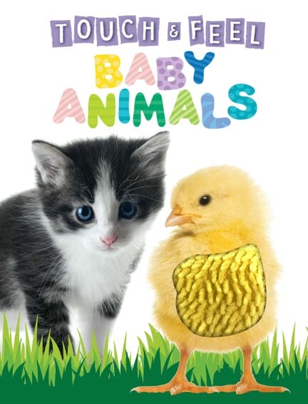 Touch & Feel Baby Animals: Touch and Feel Sensory Board Book | Green Valley  Book Fair