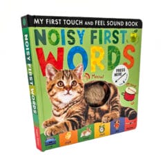 book cover for Noisy First Words