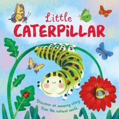 Book cover for Little Caterpillar