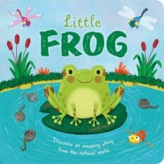 Book cover for Little Frog